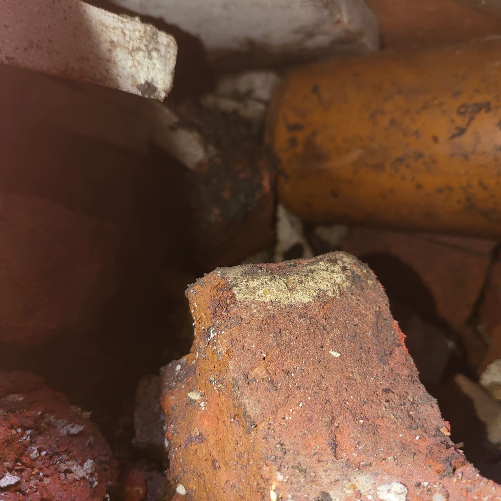 Fractured Victorian clay drainage exposed in the ground, showing the kind of open joint that washes soil fines away