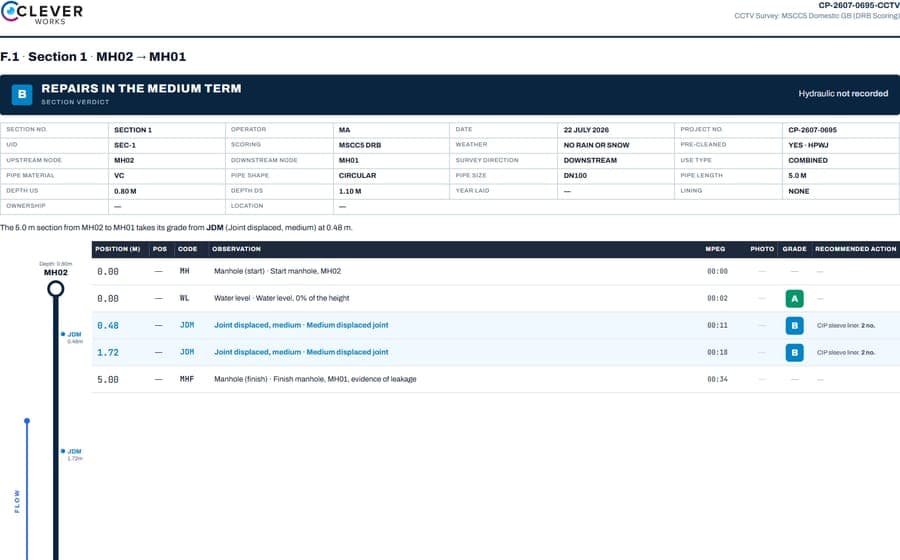 A section page of the report